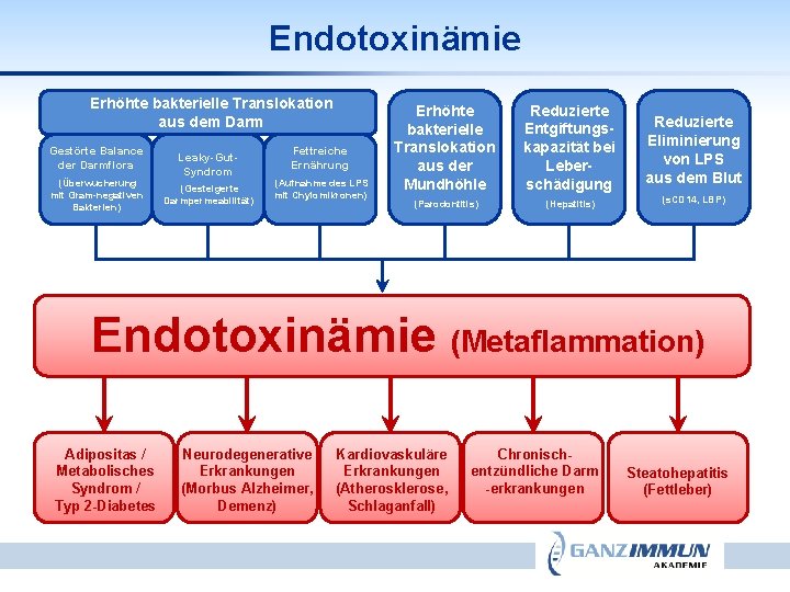 Endotoxinämie Erhöhte bakterielle Translokation aus dem Darm Gestörte Balance der Darmflora (Überwucherung mit Gram-negativen