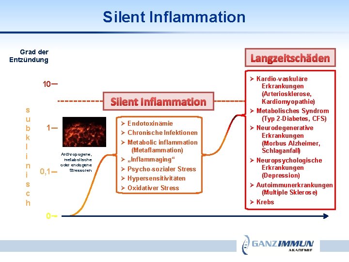 Silent Inflammation Grad der Entzündung Langzeitschäden 10 s u b k l i n