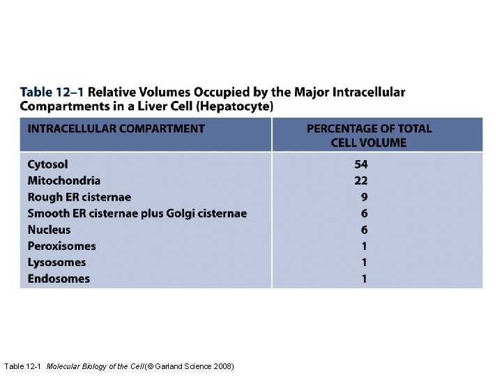 Table 12 -1 Molecular Biology of the Cell (© Garland Science 2008)  Table 12 -1 Molecular Biology of the Cell (© Garland Science 2008)