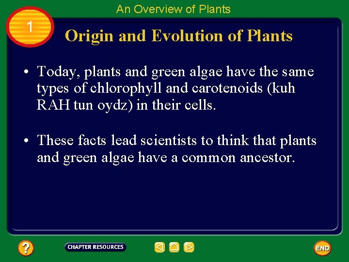 An Overview of Plants 1 Origin and Evolution of Plants • Today, plants and