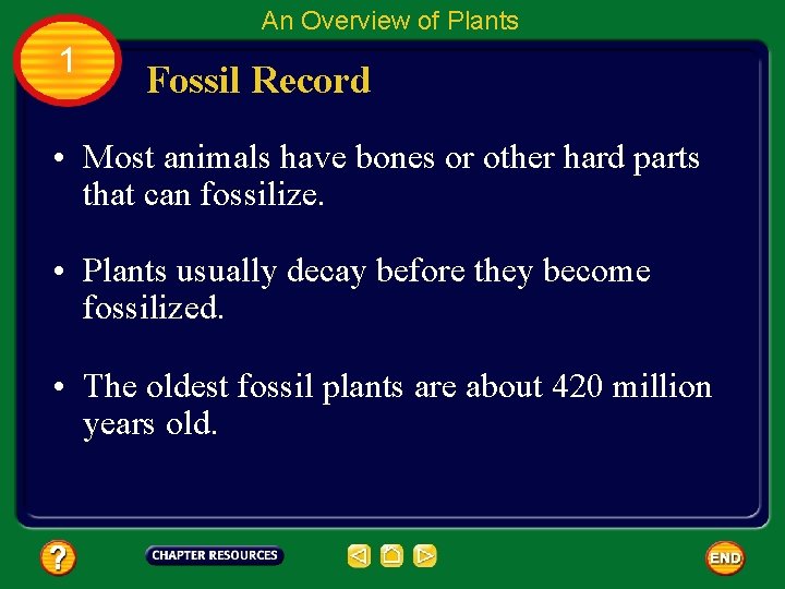 An Overview of Plants 1 Fossil Record • Most animals have bones or other