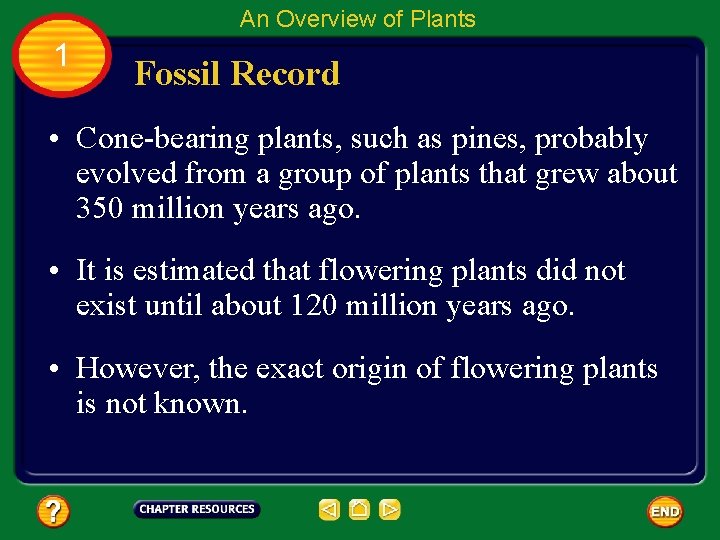 An Overview of Plants 1 Fossil Record • Cone-bearing plants, such as pines, probably