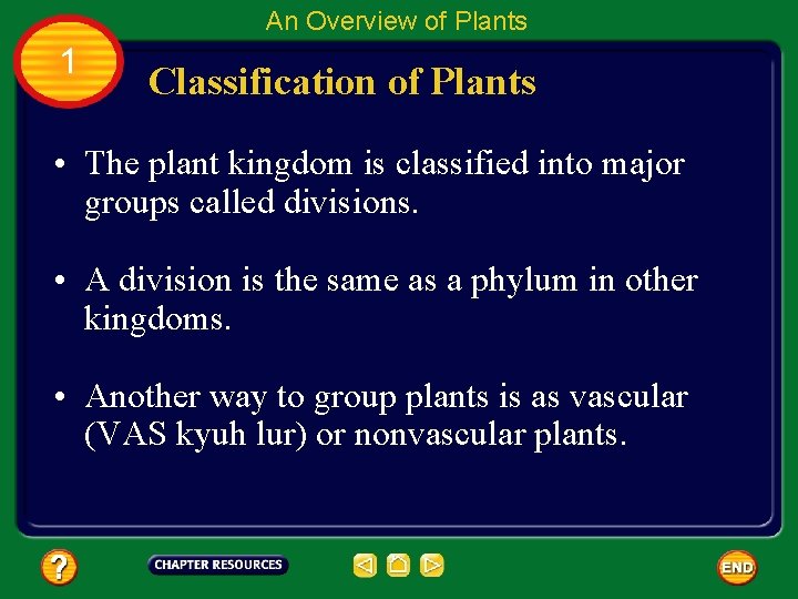 An Overview of Plants 1 Classification of Plants • The plant kingdom is classified