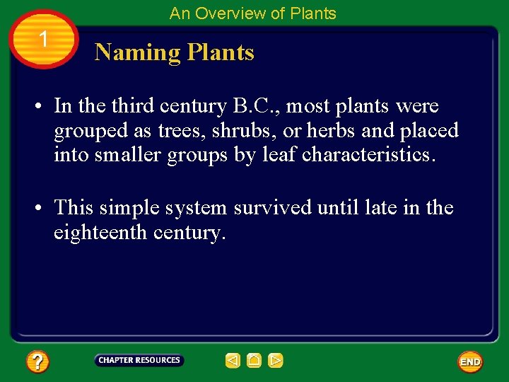An Overview of Plants 1 Naming Plants • In the third century B. C.