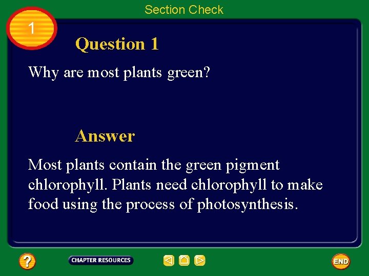 Section Check 1 Question 1 Why are most plants green? Answer Most plants contain