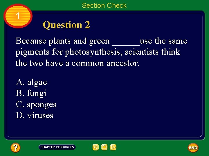 Section Check 1 Question 2 Because plants and green ______use the same pigments for