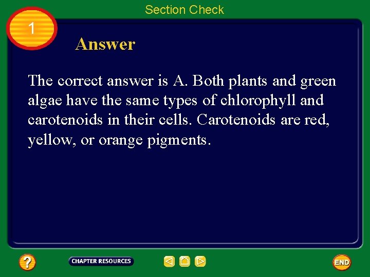 Section Check 1 Answer The correct answer is A. Both plants and green algae