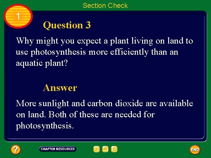 Section Check 1 Question 3 Why might you expect a plant living on land