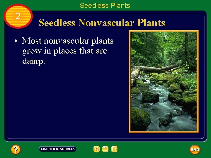 Seedless Plants 2 Seedless Nonvascular Plants • Most nonvascular plants grow in places that