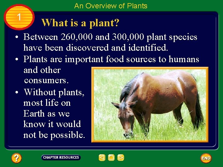 An Overview of Plants 1 What is a plant? • Between 260, 000 and
