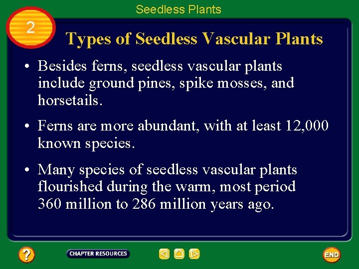 Seedless Plants 2 Types of Seedless Vascular Plants • Besides ferns, seedless vascular plants