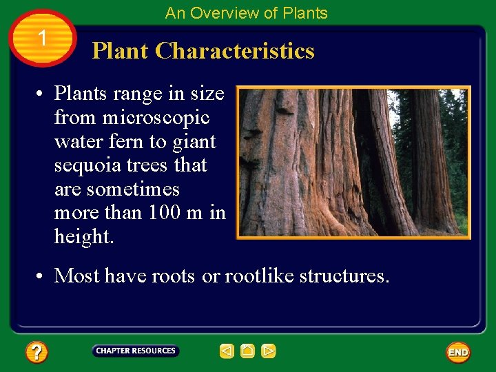 An Overview of Plants 1 Plant Characteristics • Plants range in size from microscopic