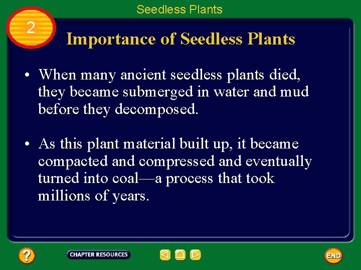 Seedless Plants 2 Importance of Seedless Plants • When many ancient seedless plants died,