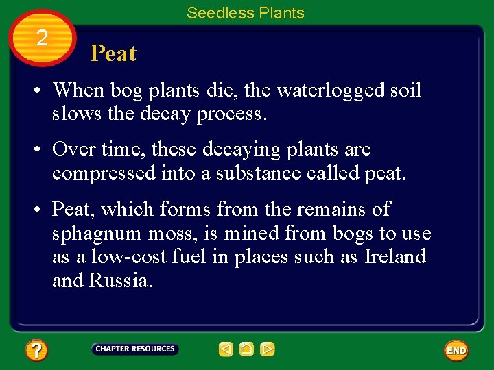 Seedless Plants 2 Peat • When bog plants die, the waterlogged soil slows the
