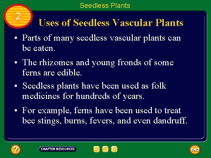 Seedless Plants 2 Uses of Seedless Vascular Plants • Parts of many seedless vascular