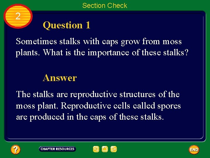 Section Check 2 Question 1 Sometimes stalks with caps grow from moss plants. What