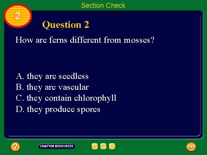 Section Check 2 Question 2 How are ferns different from mosses? A. they are