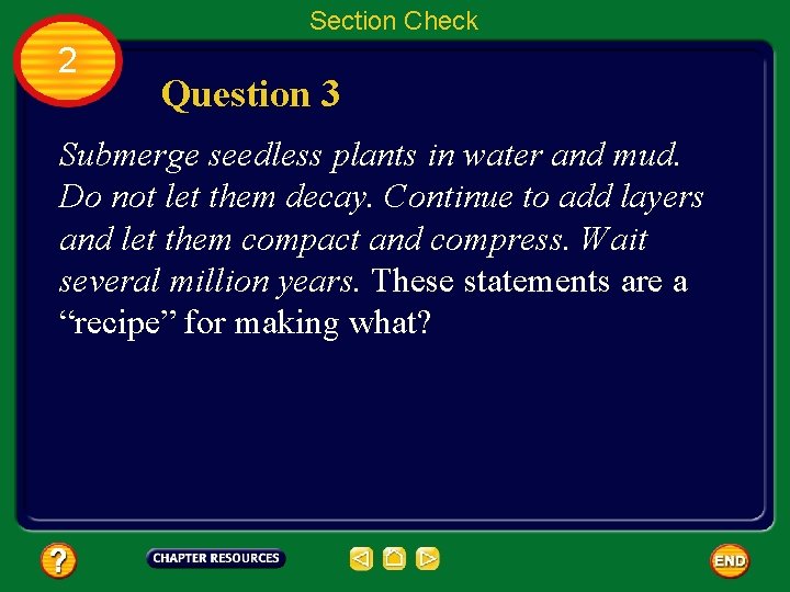Section Check 2 Question 3 Submerge seedless plants in water and mud. Do not