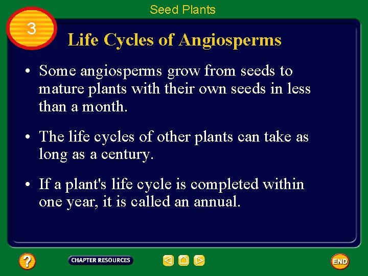 Seed Plants 3 Life Cycles of Angiosperms • Some angiosperms grow from seeds to