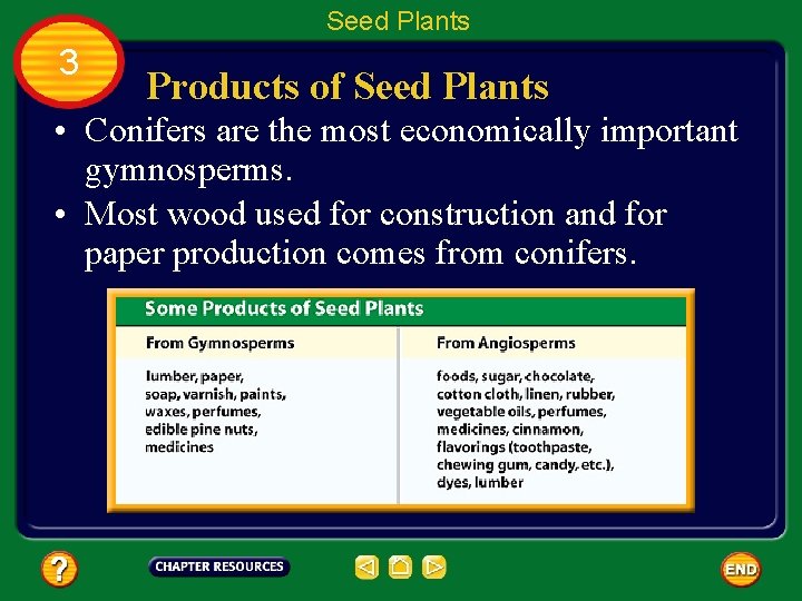 Seed Plants 3 Products of Seed Plants • Conifers are the most economically important