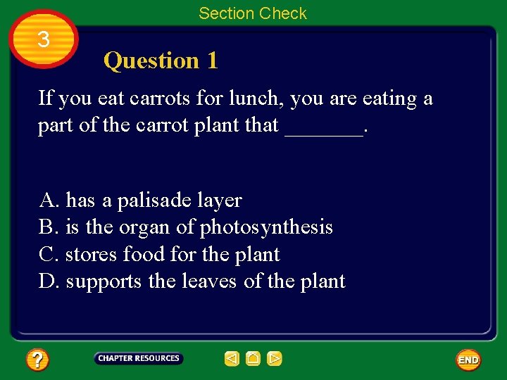 Section Check 3 Question 1 If you eat carrots for lunch, you are eating