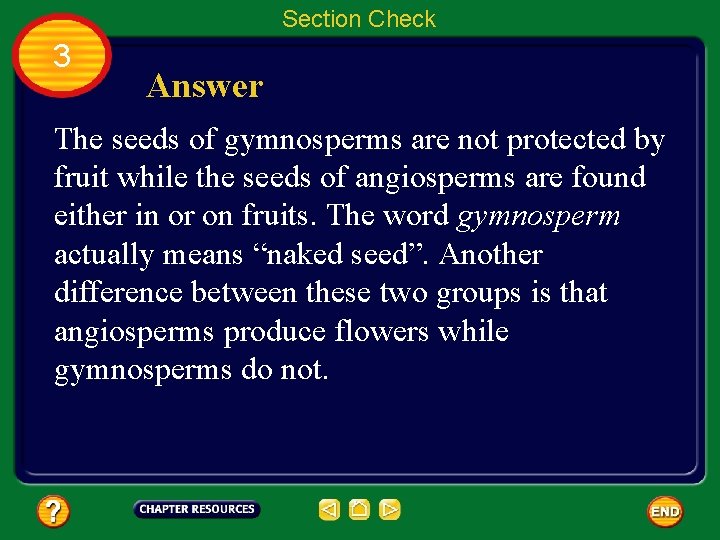 Section Check 3 Answer The seeds of gymnosperms are not protected by fruit while