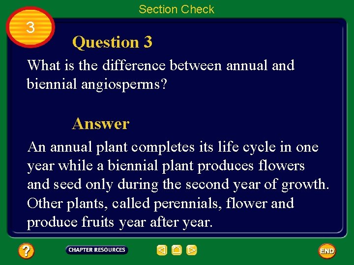 Section Check 3 Question 3 What is the difference between annual and biennial angiosperms?