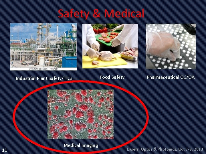 Safety & Medical Industrial Plant Safety/TICs 11 Medical Imaging Food Safety Pharmaceutical QC/QA Lasers,
