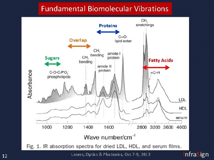 Fundamental Biomolecular Vibrations Proteins Overlap Sugars 12 Fatty Acids Lasers, Optics & Photonics, Oct