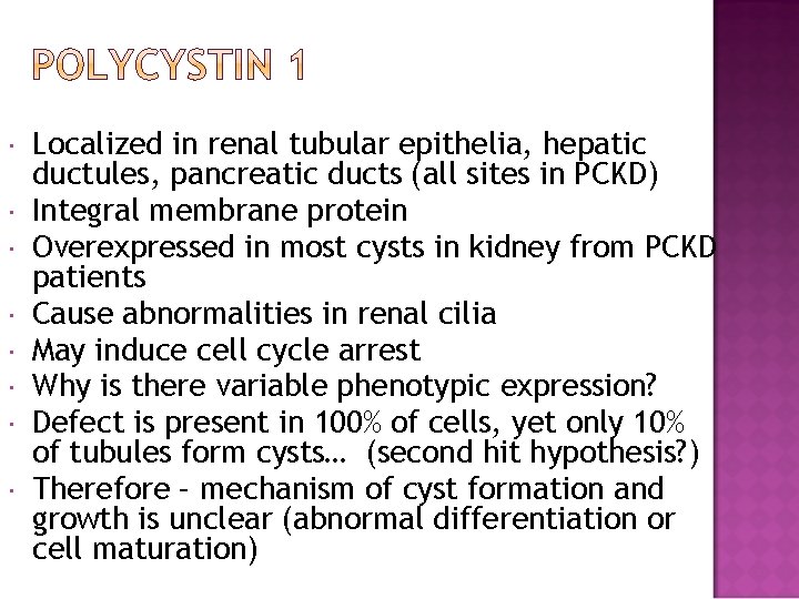  Localized in renal tubular epithelia, hepatic ductules, pancreatic ducts (all sites in PCKD)
