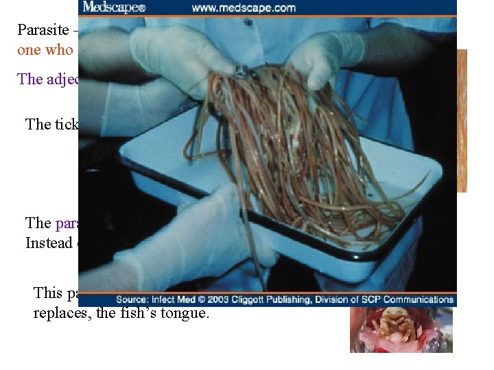 Parasite – noun, an organism that lives in or on another organism; one who