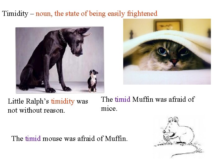 Timidity – noun, the state of being easily frightened Little Ralph’s timidity was not