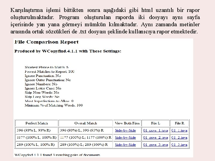 Karşılaştırma işlemi bittikten sonra aşağıdaki gibi html uzantılı bir rapor oluşturulmaktadır. Program oluşturulan raporda