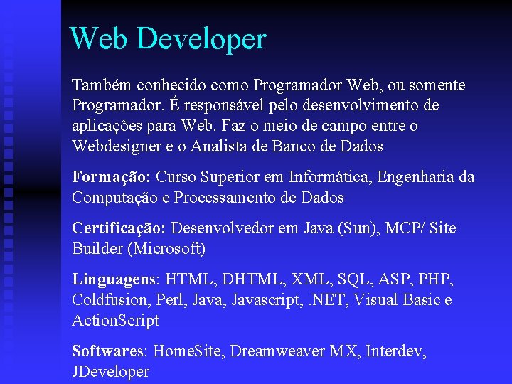 Web Developer Também conhecido como Programador Web, ou somente Programador. É responsável pelo desenvolvimento