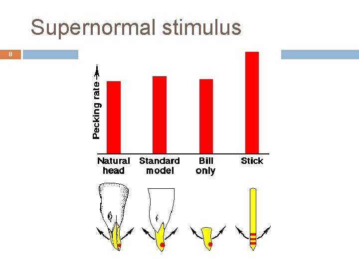 Supernormal stimulus 8 