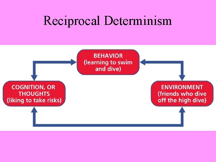 Reciprocal Determinism 