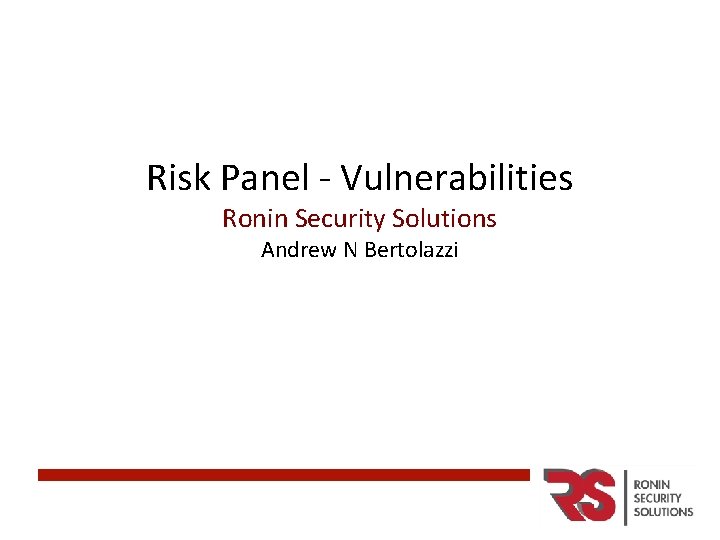 Risk Panel - Vulnerabilities Ronin Security Solutions Andrew N Bertolazzi 