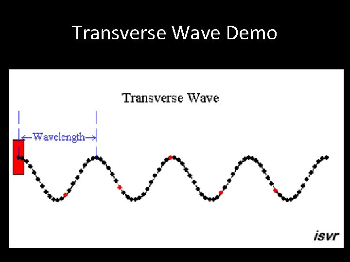 Transverse Wave Demo 