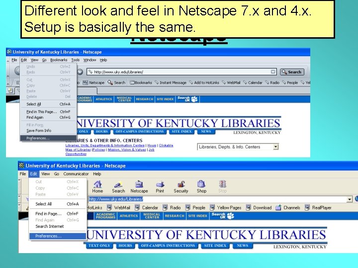 Different look and feel in Netscape 7. x and 4. x. Setup is basically