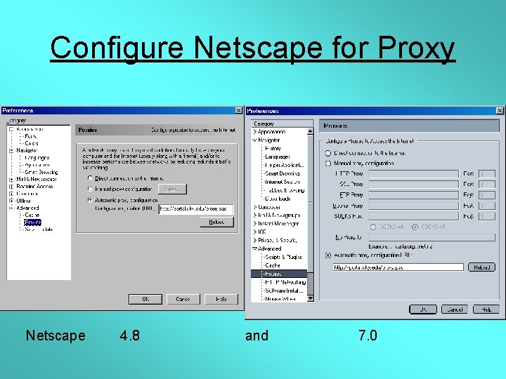 Configure Netscape for Proxy Netscape 4. 8 and 7. 0 