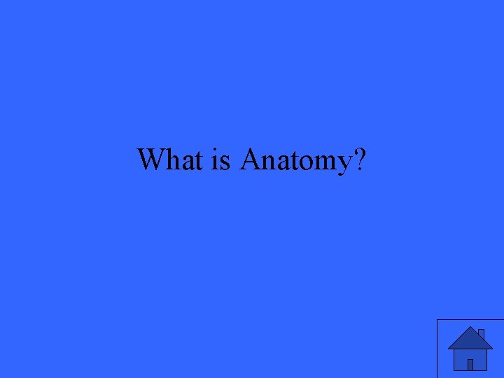 What is Anatomy? 