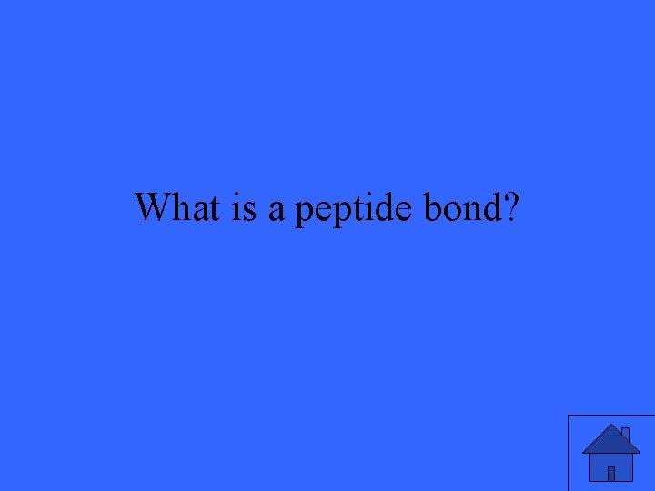 What is a peptide bond? 