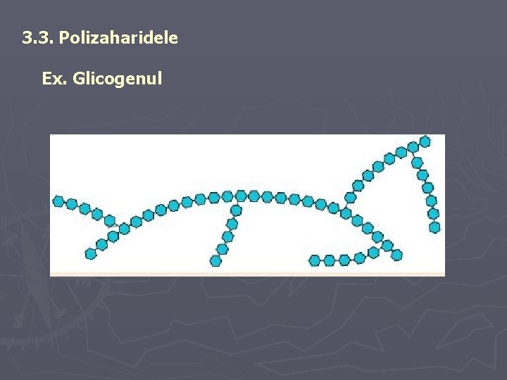 3. 3. Polizaharidele Ex. Glicogenul 