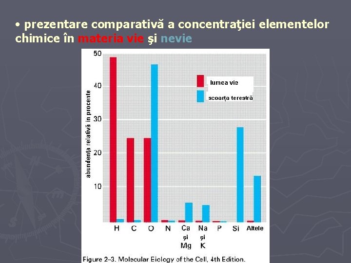  • prezentare comparativă a concentraţiei elementelor chimice în materia vie şi nevie 