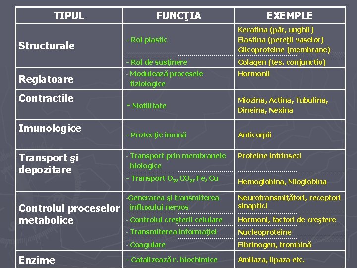 TIPUL Structurale Reglatoare Contractile Imunologice Transport şi depozitare FUNCŢIA - Rol plastic Keratina (păr,