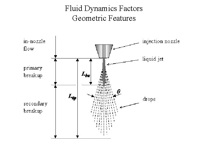 Fluid Dynamics Factors Geometric Features 