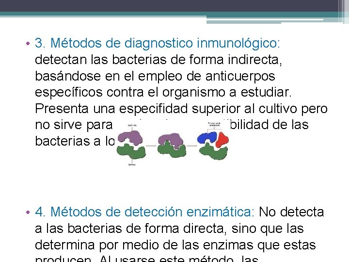  • 3. Métodos de diagnostico inmunológico: detectan las bacterias de forma indirecta, basándose