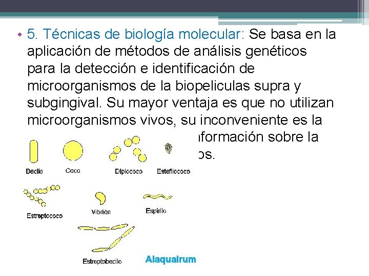  • 5. Técnicas de biología molecular: Se basa en la aplicación de métodos