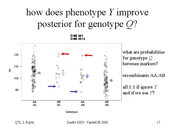 how does phenotype Y improve posterior for genotype Q? what are probabilities for genotype