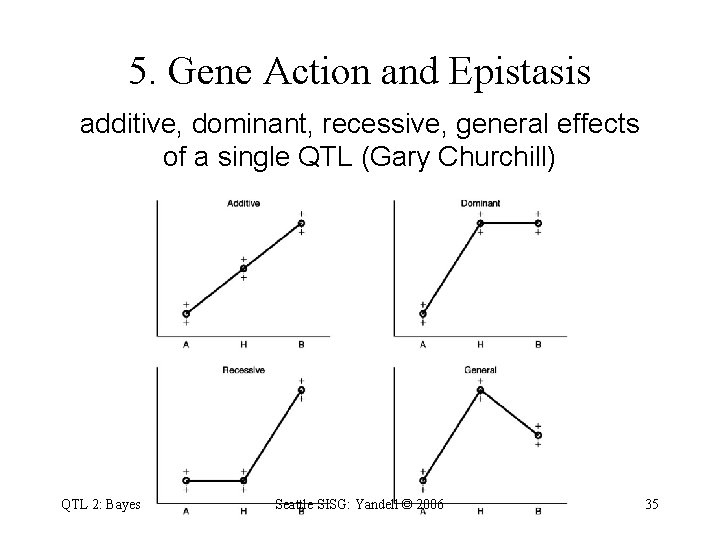 5. Gene Action and Epistasis additive, dominant, recessive, general effects of a single QTL